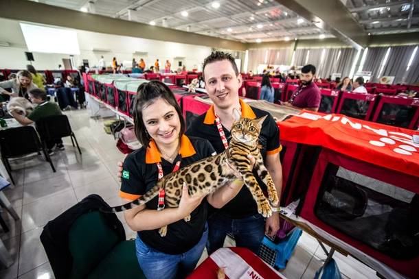 Edevar, criador do Gatil TomiFerr com gato Bengal campeão