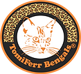TomiFerr Bengals