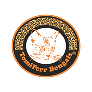 TomiFerr Bengals